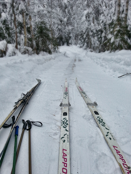 Finland Cross Country Skiing -003