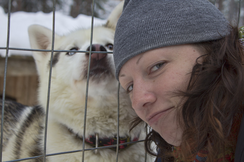 Finland Dogsledding-004