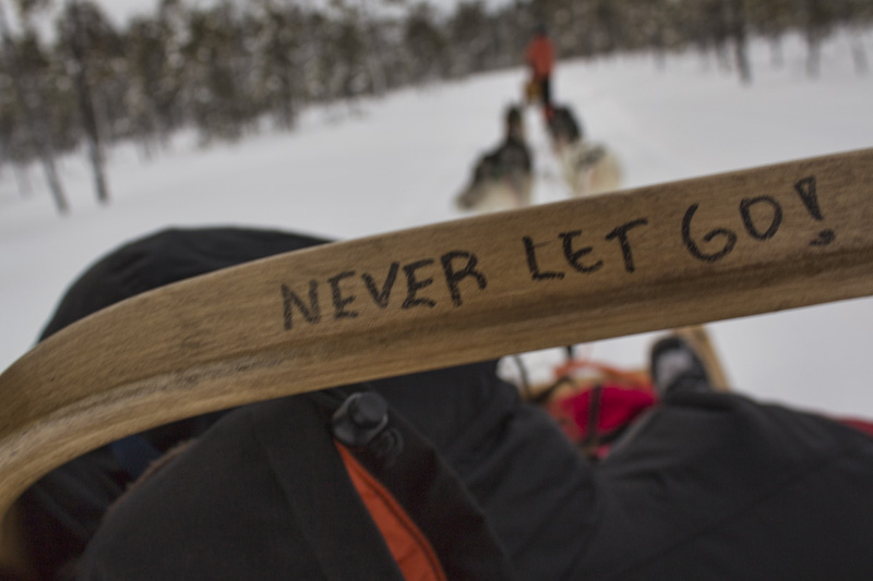 Finland Dogsledding-013