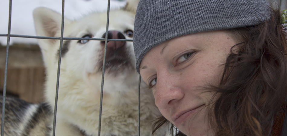 Finland Dogsledding-feature