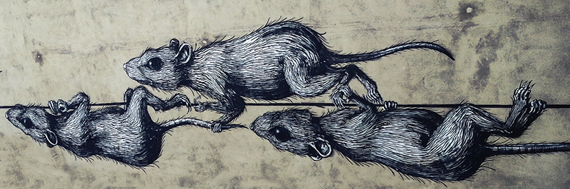 Berlin Street Art - Rats