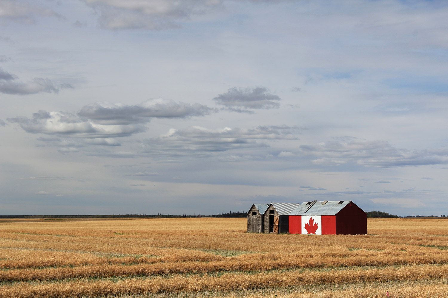 What the World Thinks About Canadians