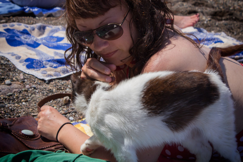 Greek Kitteh