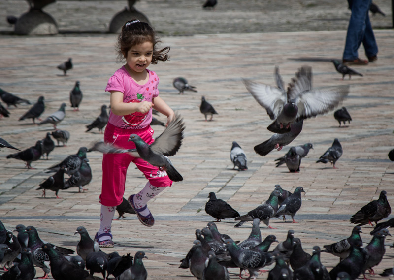 Chasing Pigeons in Izmir