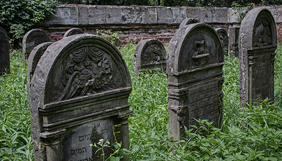 The Jewish Cemetery in Warsaw
