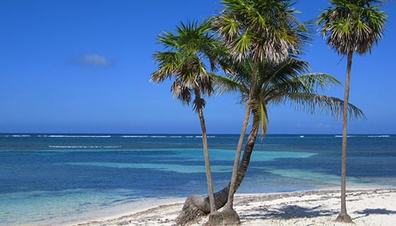 5 Tips for Traveling on Points