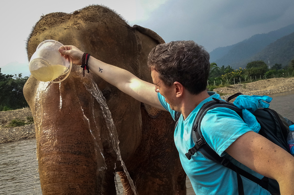 bathing-elephants