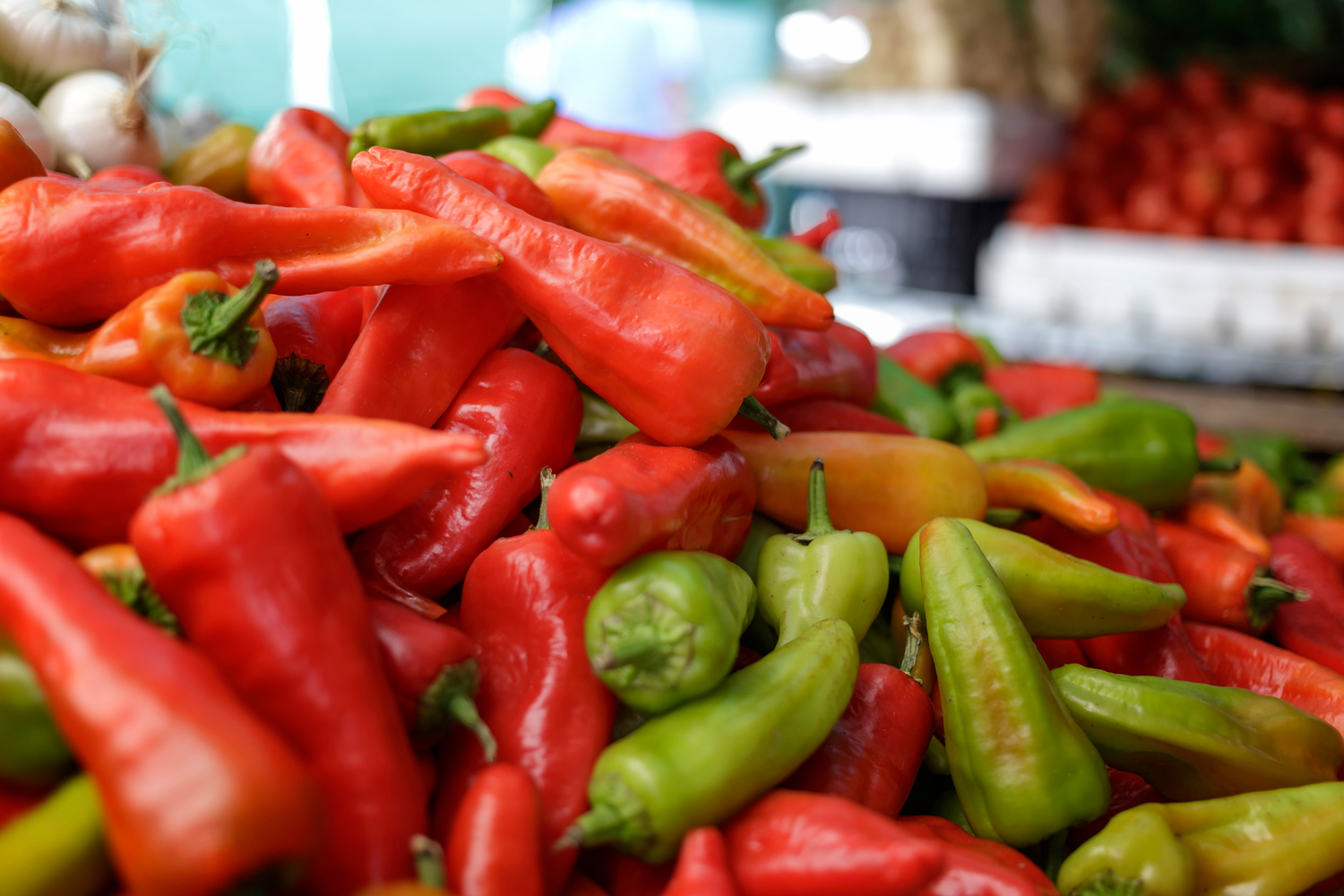 Oaxaca in Living Colour