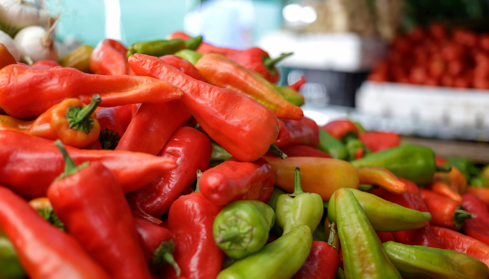 Oaxaca in Living Colour thumbnail