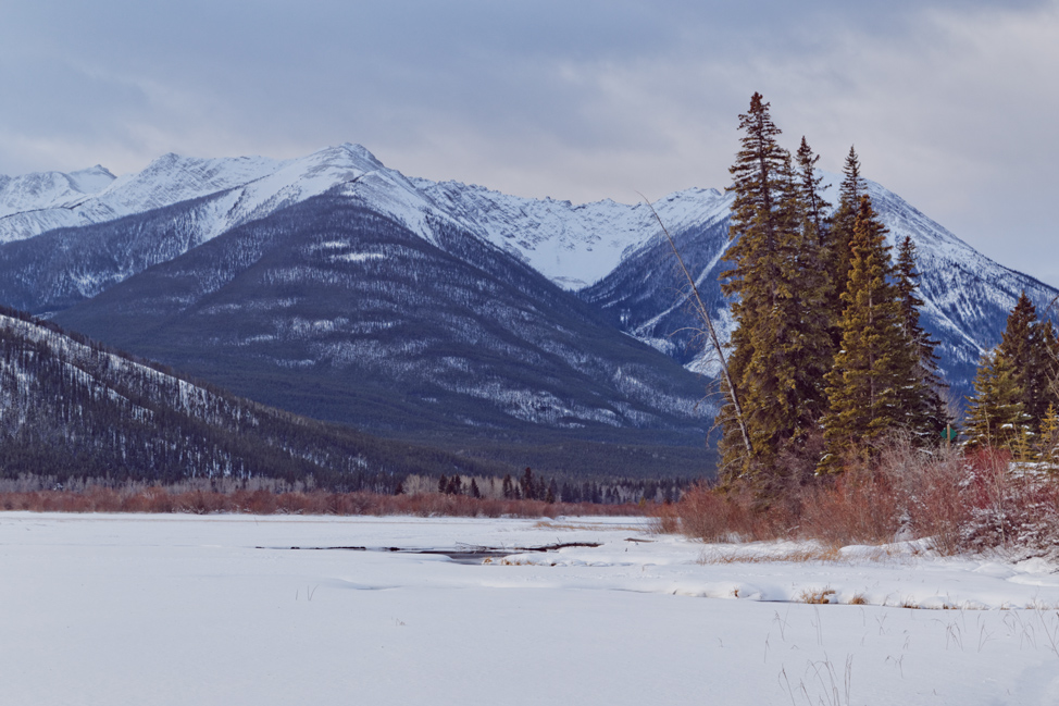 Vermillion-Lakes-Banff-974x649