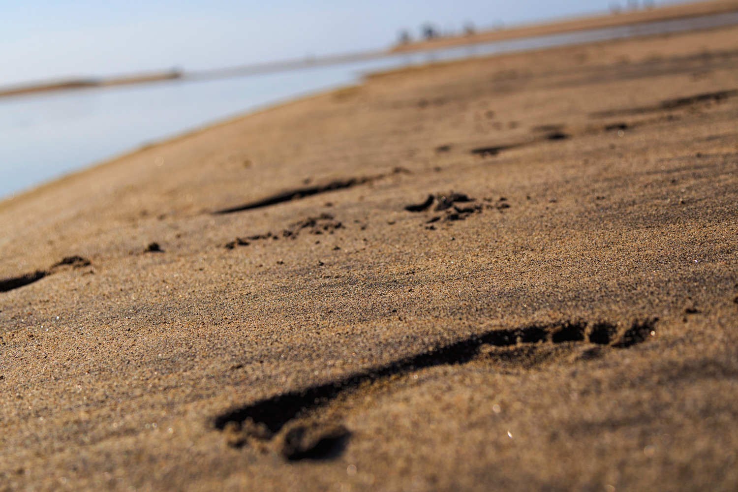 Puerto Escondido, in Afterthought