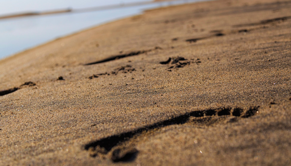 Puerto Escondido, in Afterthought thumbnail