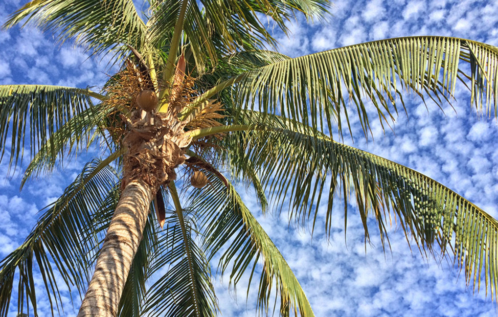 Puerto-Escondido-Popcorn-Clouds