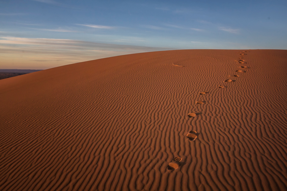 Sahara Morning