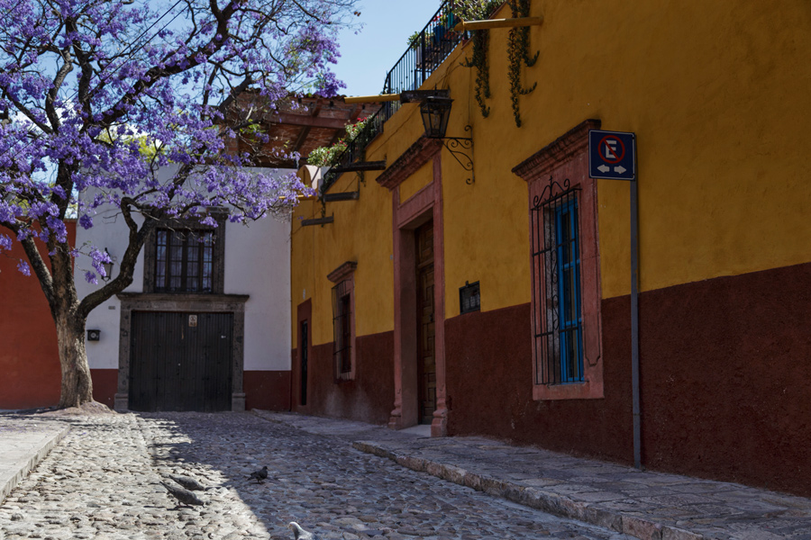 Quiet Corners of San Miguel de Allende