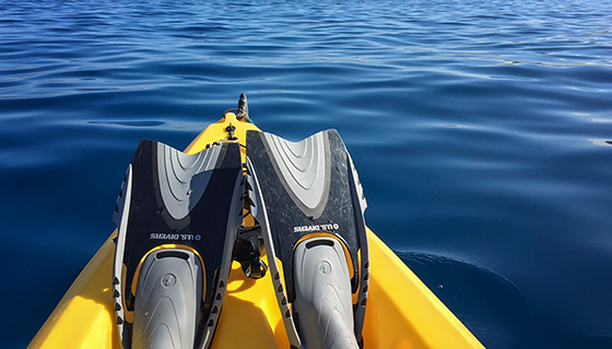 Maui Kayaking Excerpt