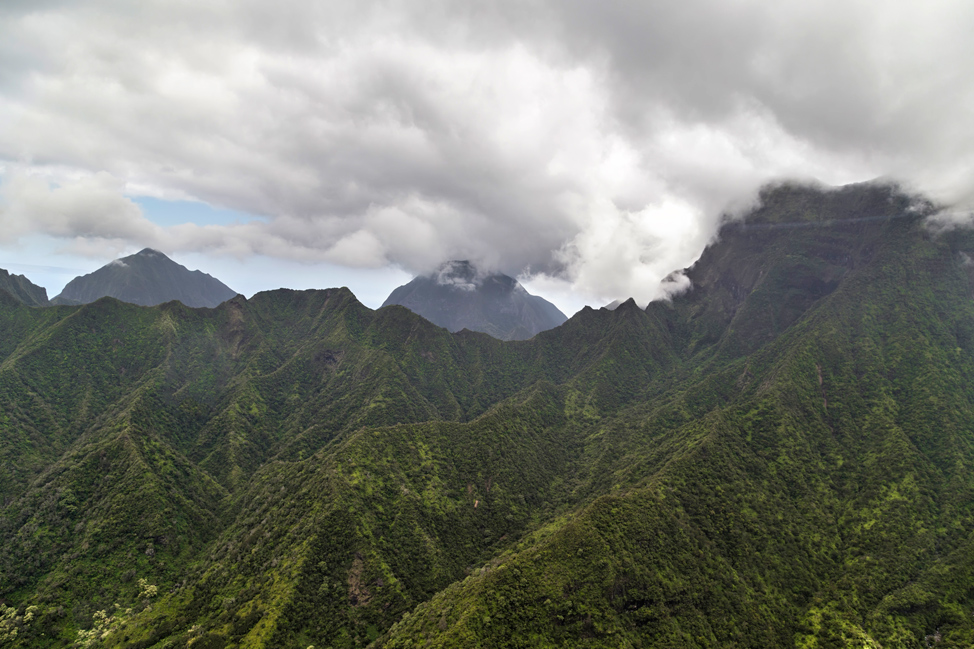 Molokai Ridges