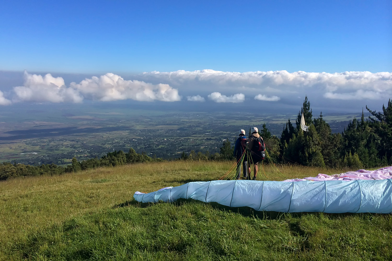Paragliding for Chickens
