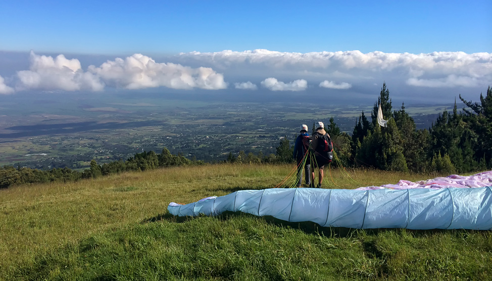 Paragliding for Chickens thumbnail