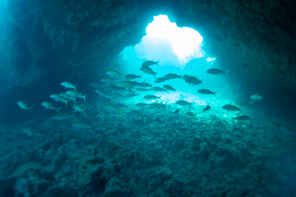 Lava Tube Hangout