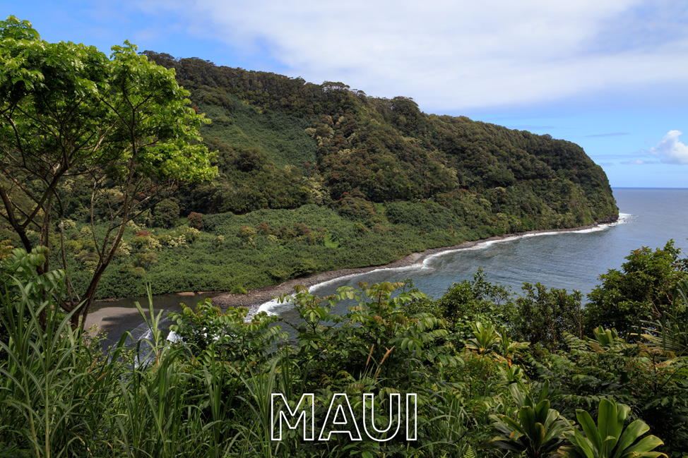 Along the Road to Hana