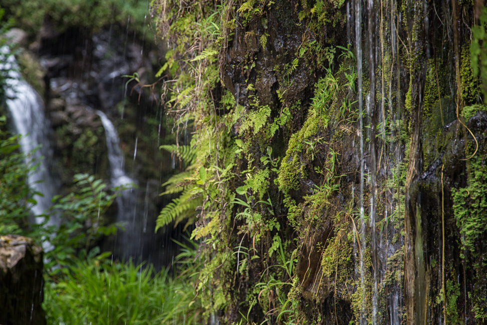 Hana Waterfall Scenery