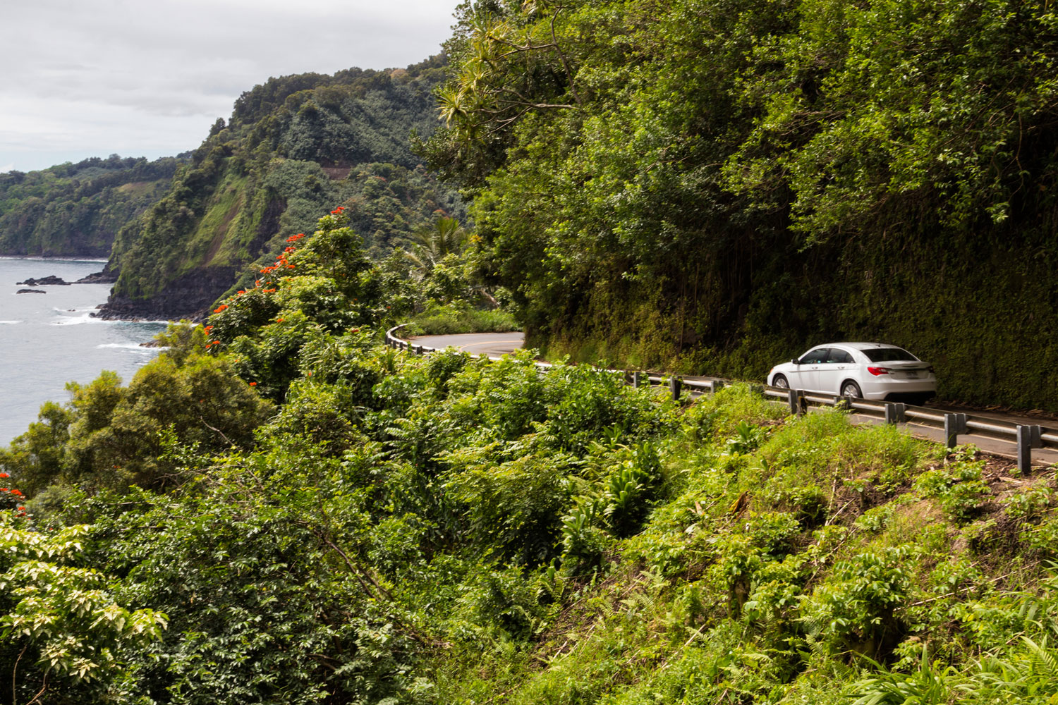 Photos Along the Road to Hana