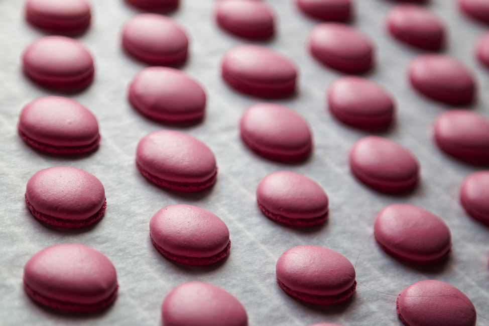 Pink Macarons