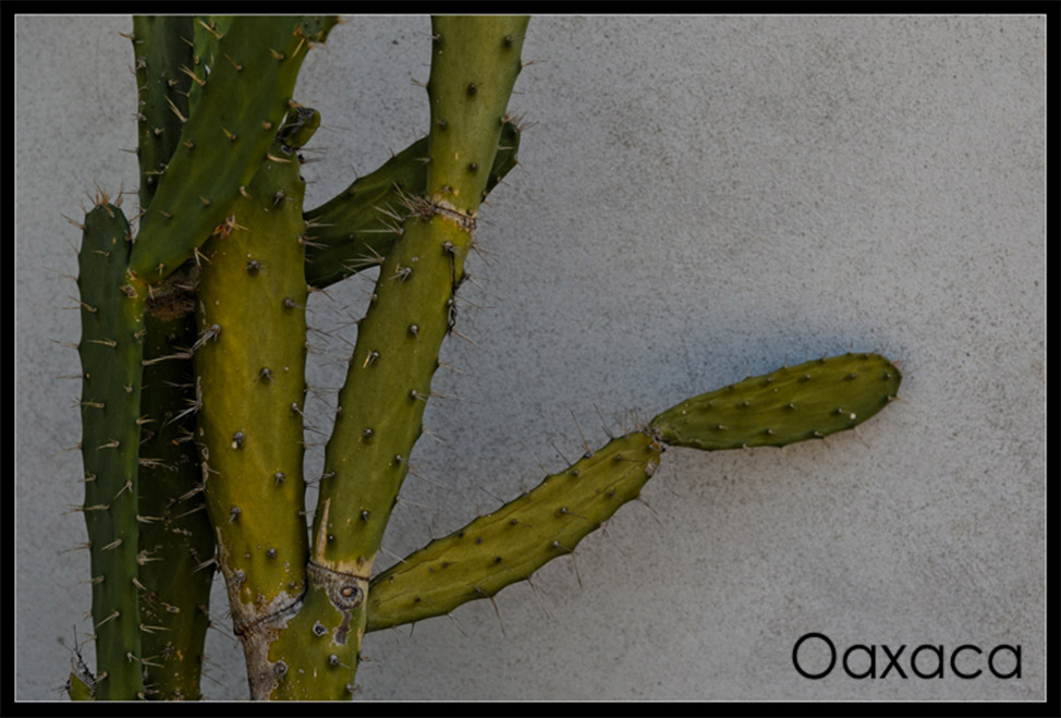 mexico-postcard