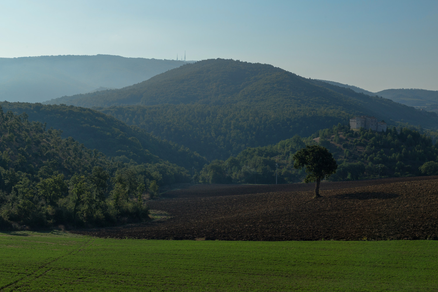 Under the Umbrian Sun