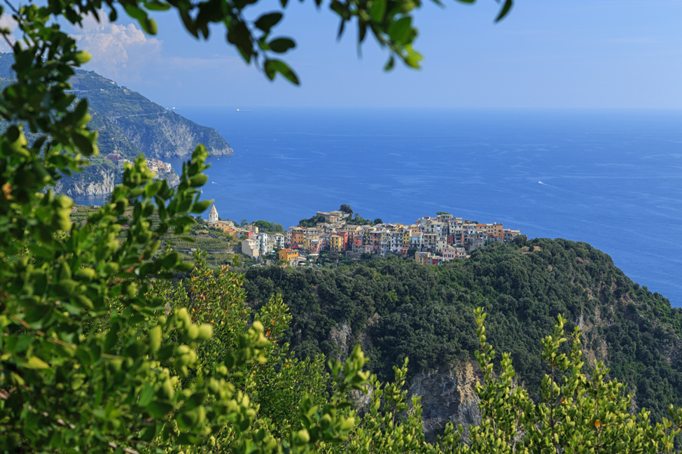 Hiking to Corniglia