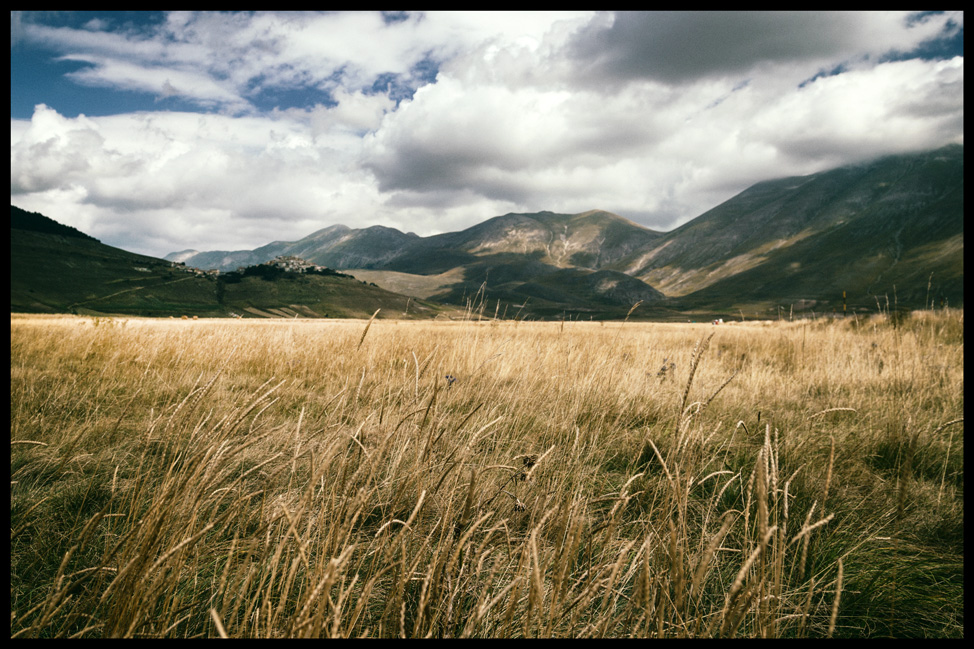 Castellucio Fields