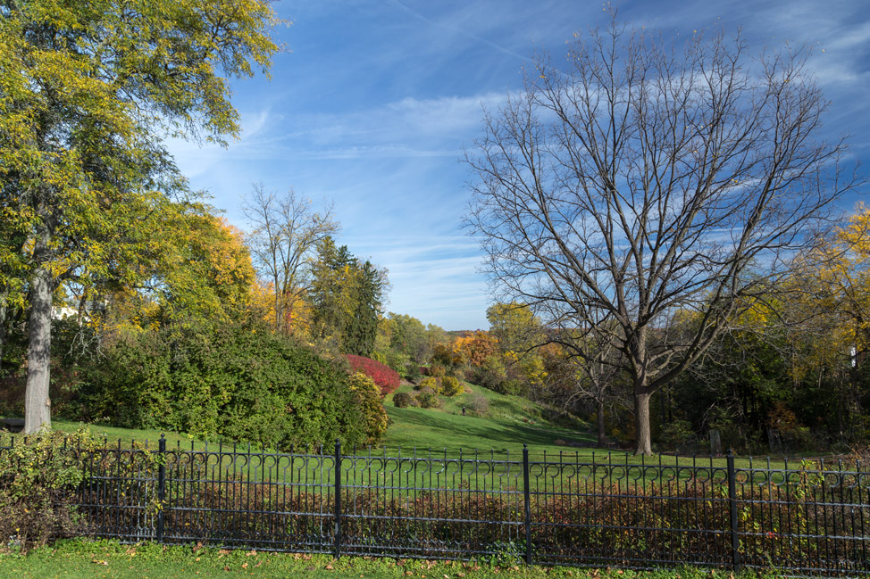 Nichols Arboretum