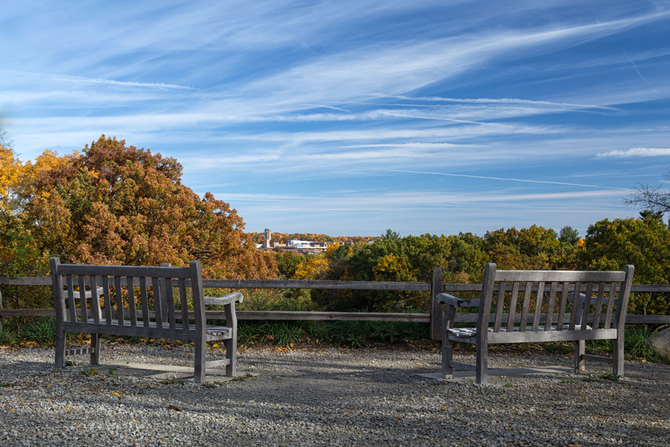 Scenic View Nichols Arboretum