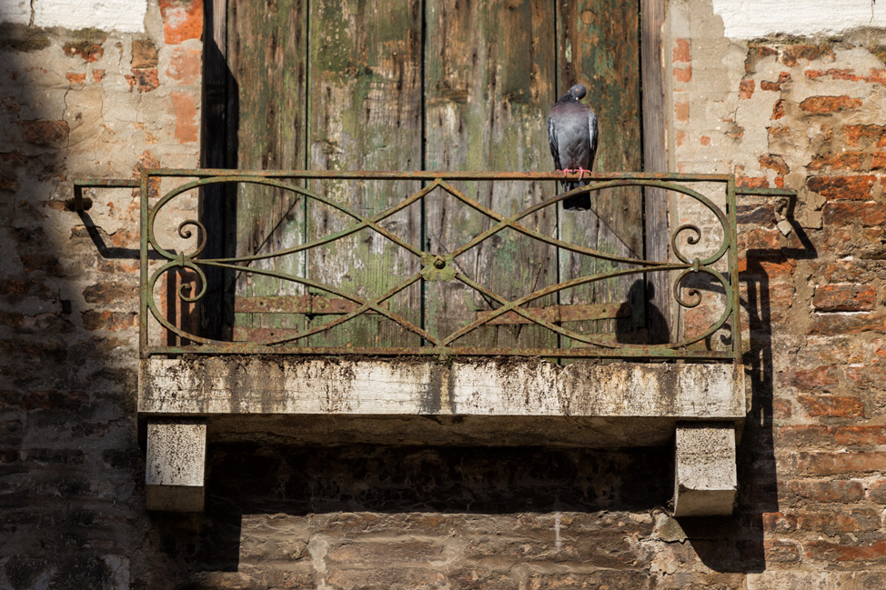 Venice Windows
