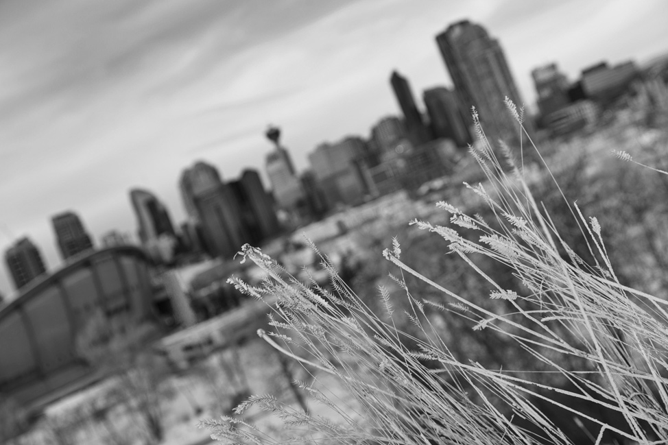 Calgary Bokeh