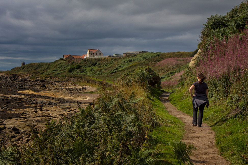 Tide Out Fife Coastal Path