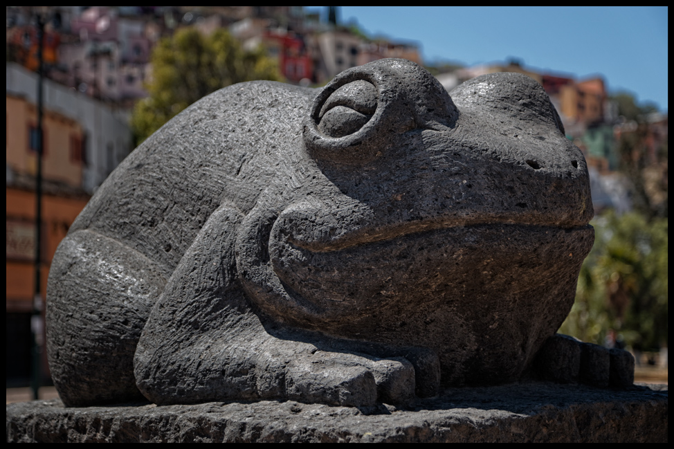 Guanajuato-Frog-Postcard