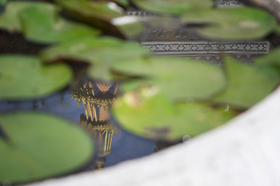 Pagoda in Lily Pond