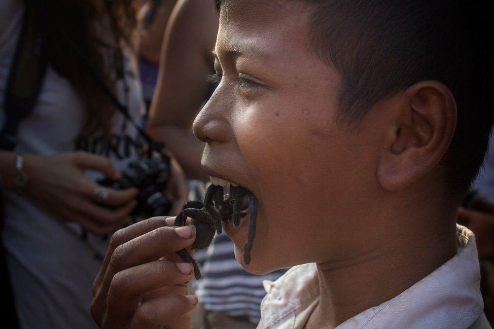 Pet tarantula in mouth