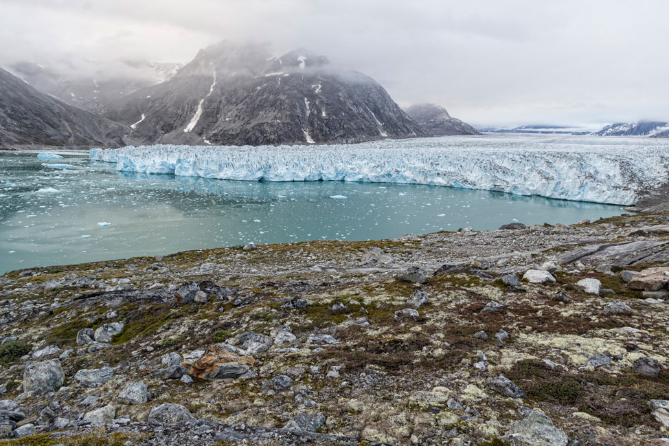 Knud Rasmussen Glacier Greenland