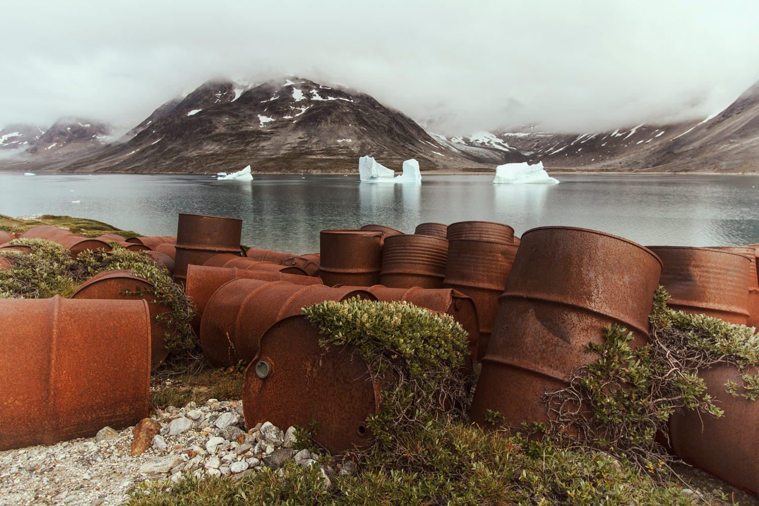 A Greenland Wasteland