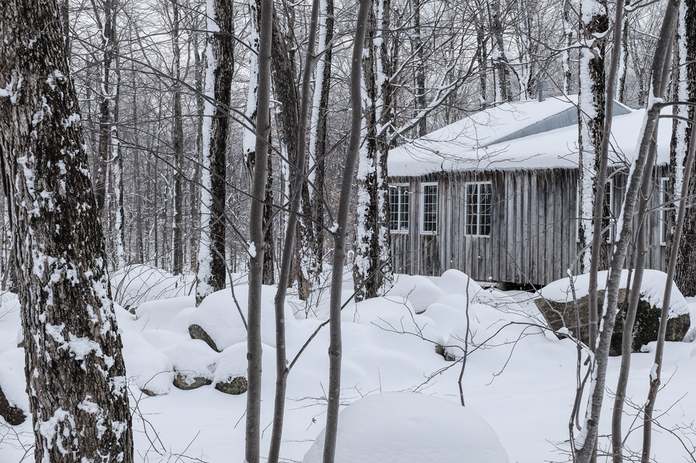 Sugar Shack