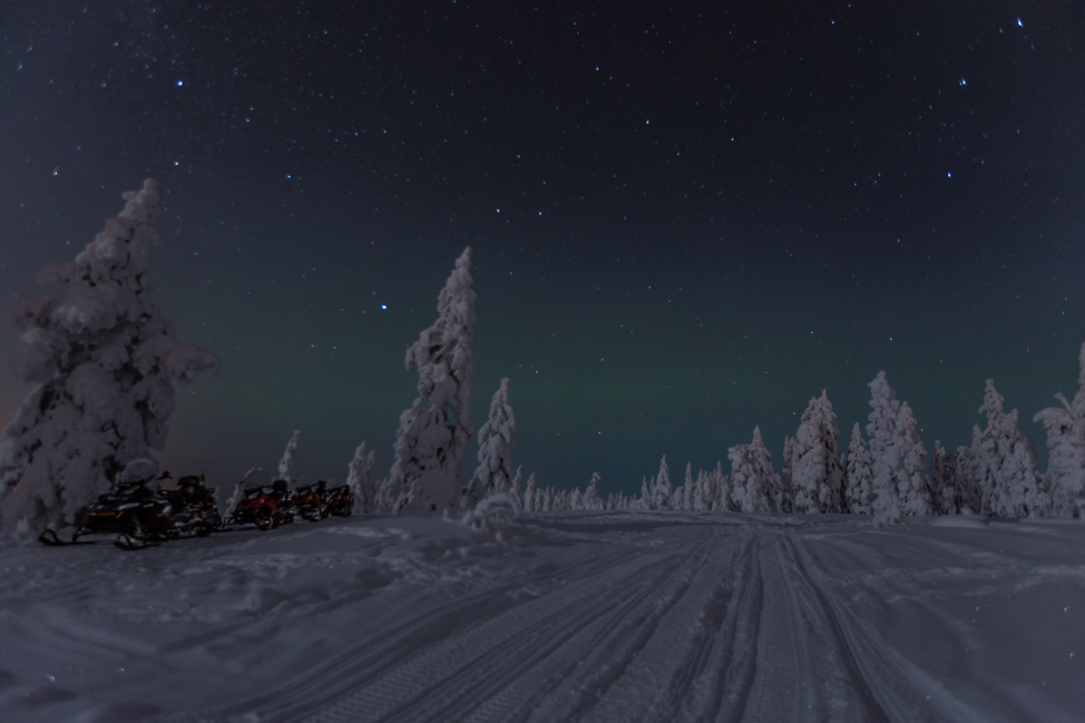 First Glimpse of Aurora