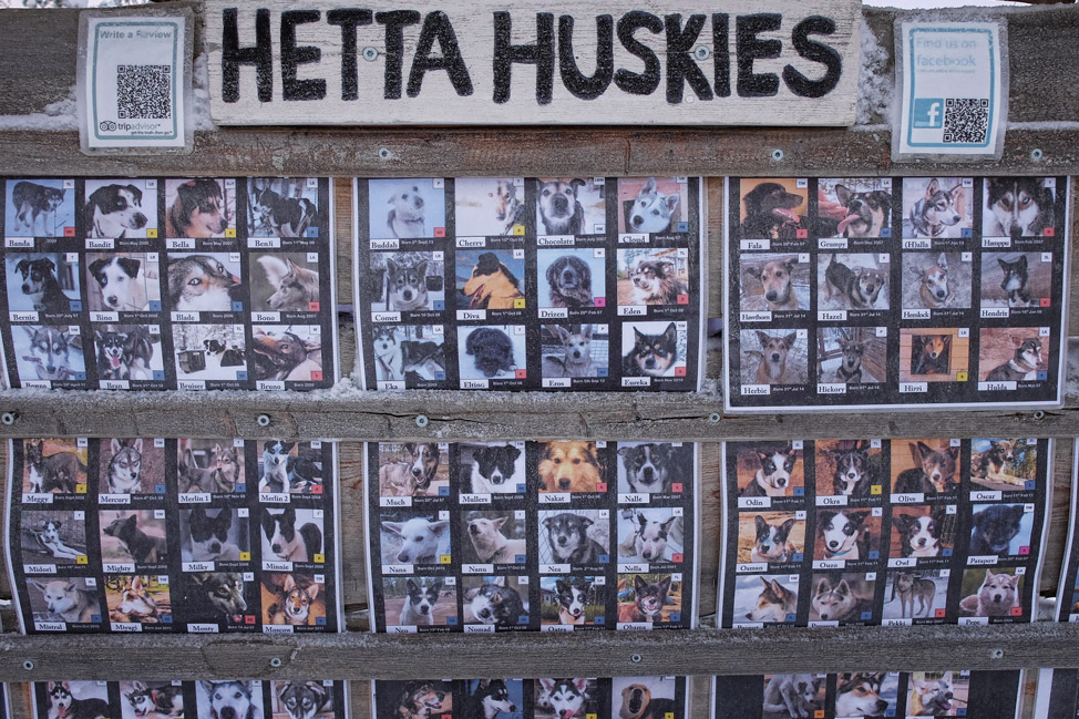 Hetta Huskies