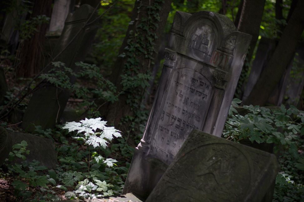 Warsaw-Jewish-Cemetery-05