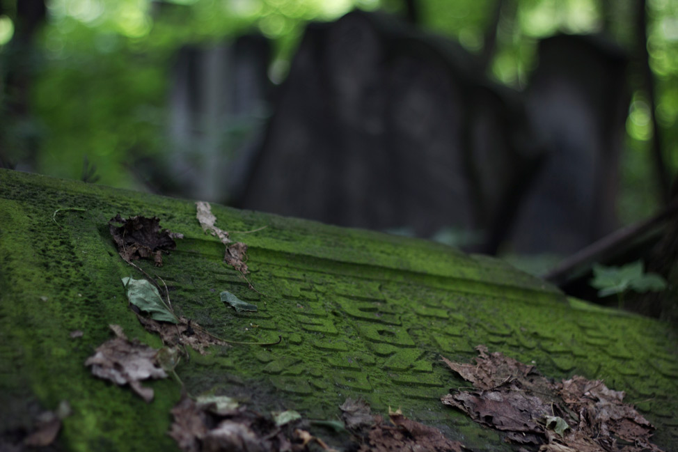 Warsaw-Jewish-Cemetery-06