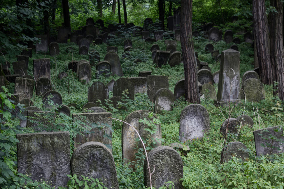 Warsaw-Jewish-Cemetery-12