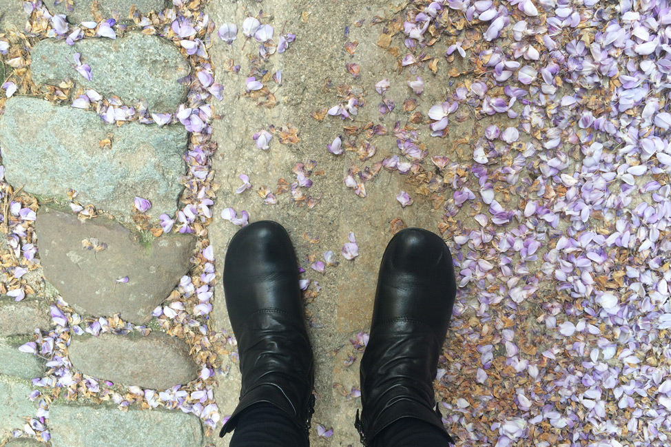 Girona-Spain-Flower-Petals