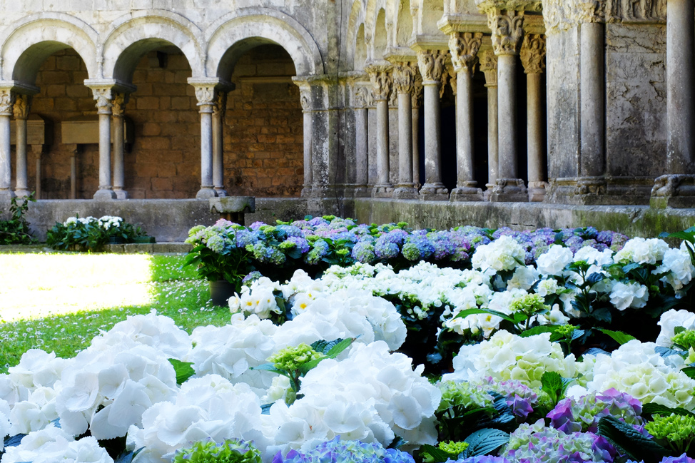 Flowers in Girona, Spain from the Flower Festival